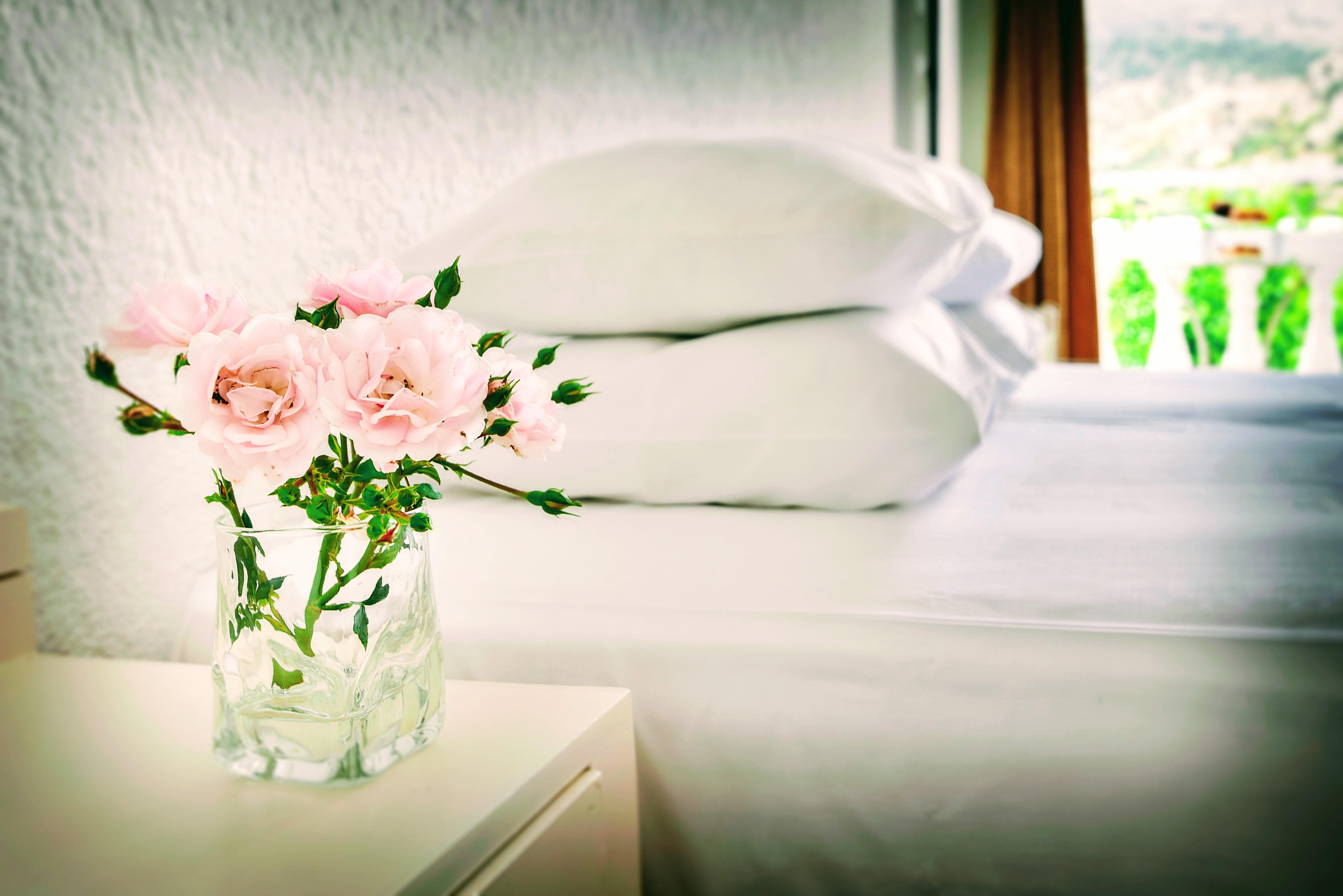 Ibiscus Hotel Malia Екстериор снимка
